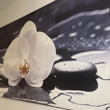 Dimora Corinne Apartment